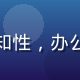 石榴社区产品总监林晓暖，端庄知性，办公室环境，手持平板展示产品界面